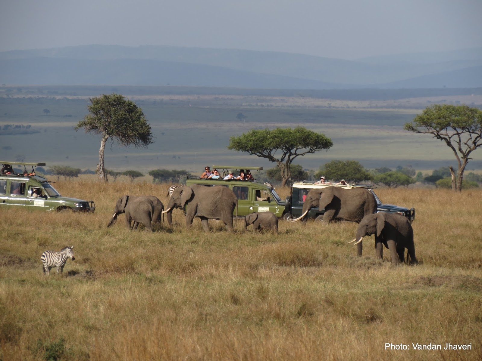 2 Days Lake Nakuru National Park